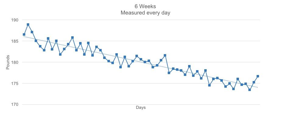 mitch daily weight noise