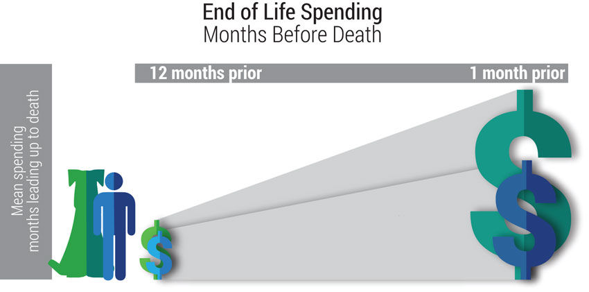 pet care figure3