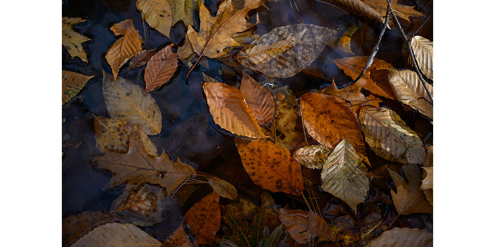 antrim new hampshire