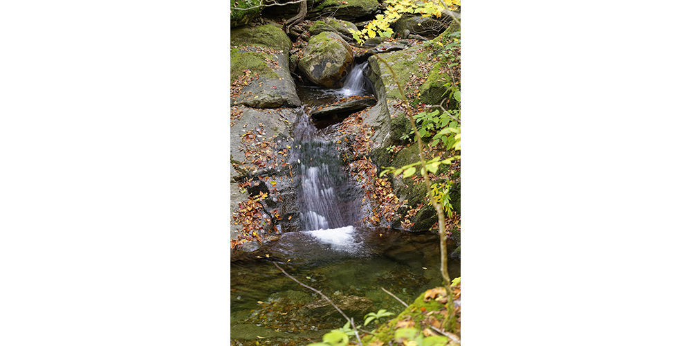 bread loaf wilderness granville vermont 1