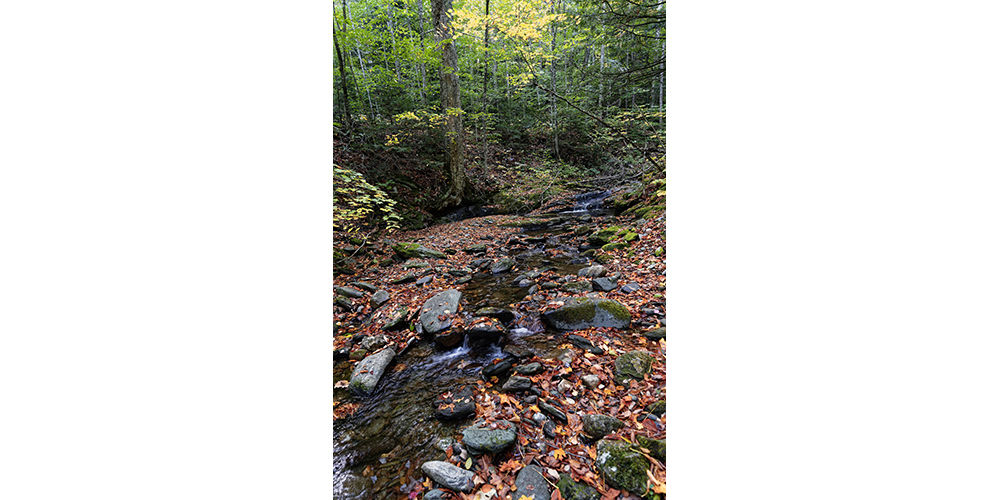 bread loaf wilderness granville vermont