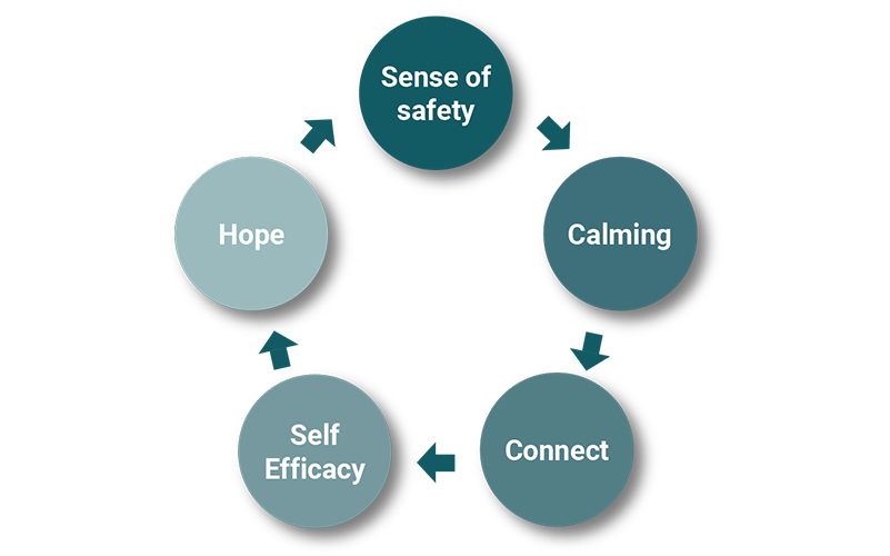 graphic 5 factors in recovery